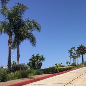 Meet your Posher, Maya